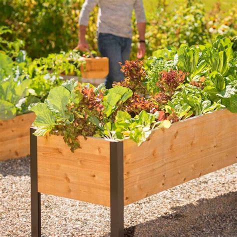 vegetable growing boxes for garden